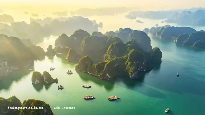 San Thien Nhien The Gioi Vinh Ha Long Thanh Pho Ha Long