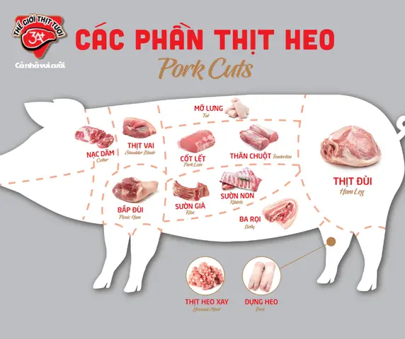 Phân Biệt Các Phần Thịt Của Thịt Heo – Thế Giới Thịt Tươi 3a+