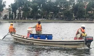 Tham Vọng Ngàn Tỉ Và Kế Ve Sầu Thoát Xác Của Gia Đình Nguyễn Đức ...