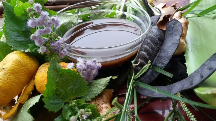 Gội Đầu Dưỡng Sinh Phương Đông