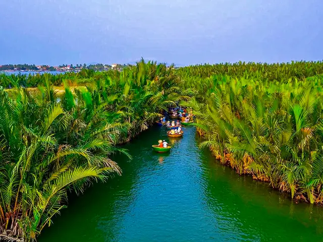 Hình Ảnh Cho Hình Ảnh Rừng Dừa Bảy Mẫu: Hình Ảnh Cho Hình Ảnh Rừng Dừa Bảy Mẫu: