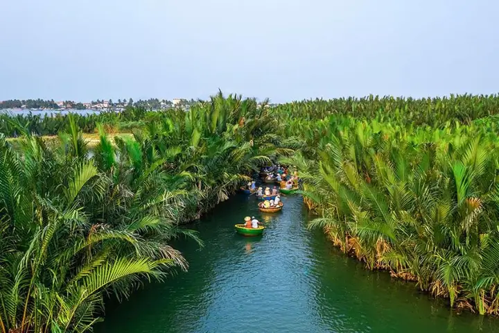 Hình Ảnh Cho Hình Ảnh Rừng Dừa Bảy Mẫu: Hình Ảnh Cho Hình Ảnh Rừng Dừa Bảy Mẫu:
