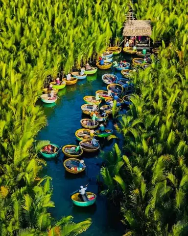 Hình Ảnh Cho Hình Ảnh Rừng Dừa Bảy Mẫu: Hình Ảnh Cho Hình Ảnh Rừng Dừa Bảy Mẫu: