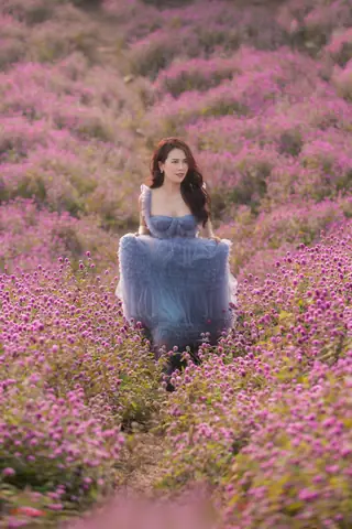 Khám Phá Album - Hình Ảnh Thảo Nguyên Đẹp Nhất