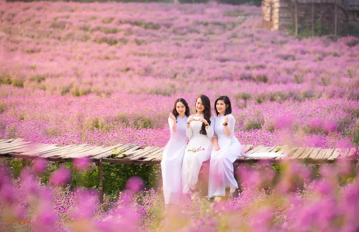 Khám Phá Album - Hình Ảnh Thảo Nguyên Đẹp Nhất