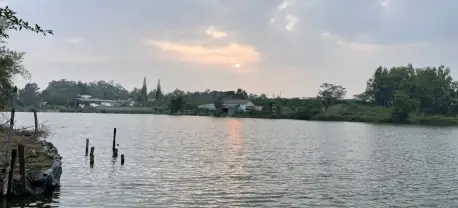 Hồ Nam Phương Bảo Lộc Có Gì? Cẩm Nang Du Lịch A-z 2026 Hồ Nam Phương Bảo Lộc Có Gì? Cẩm Nang Du Lịch A-z 2026