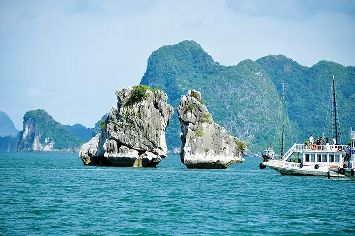 Kết Hợp Tham Quan Các Điểm Du Lịch Nổi Bật Trên Vịnh