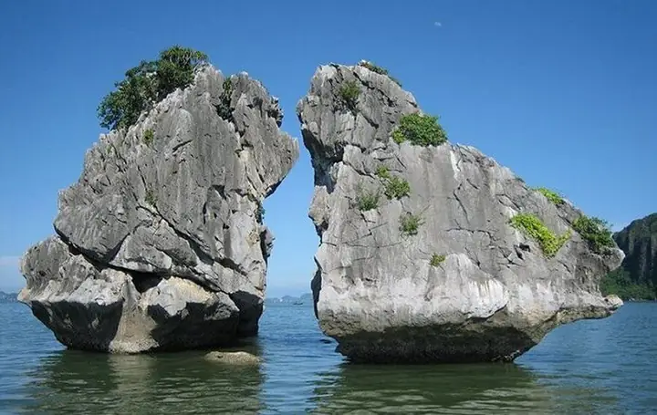 Giới Thiệu Đôi Nét Về Hòn Gà Chọi