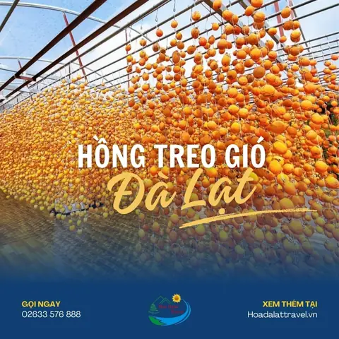Top 5 Vườn Hồng Treo Gió Đà Lạt Nổi Tiếng Nhất Năm 2025
