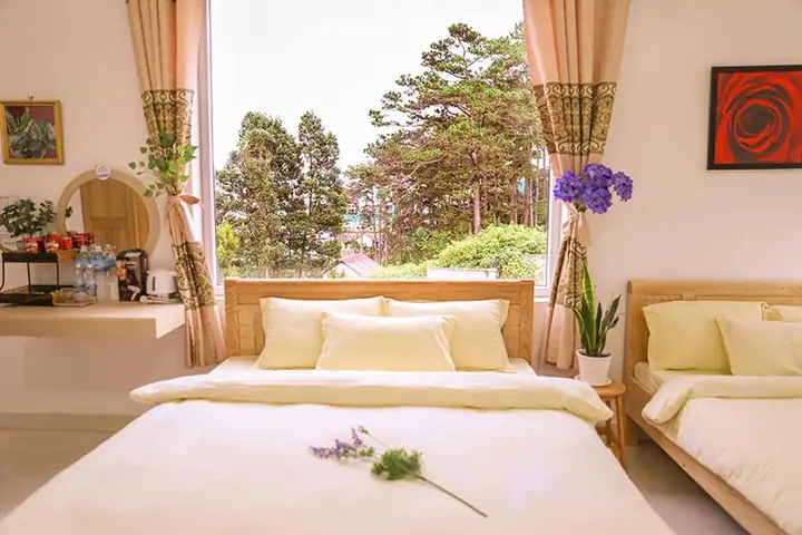 Giới Thiệu Về Khách Sạn Dâu Tây Đà Lạt Giới Thiệu Về Khách Sạn Dâu Tây Đà Lạt