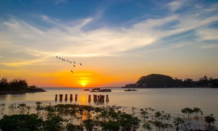 Tắm Biển