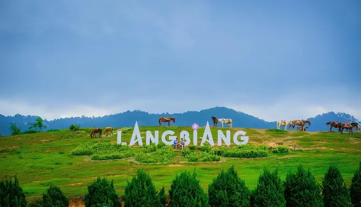 Đỉnh Langbiang Đà Lạt: Kinh Nghiệm Vui Chơi Từ A-z Đỉnh Langbiang Đà Lạt: Kinh Nghiệm Vui Chơi Từ A-z