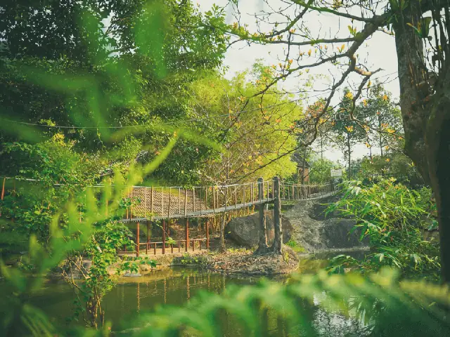 Khu Du Lịch Sinh Thái Suối Hoa