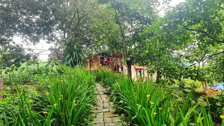 Khu Du Lịch Sinh Thái Homestay Hải Đăng – Điểm “đi Trốn” Mới Hấp Dẫn Tại Thái Nguyên