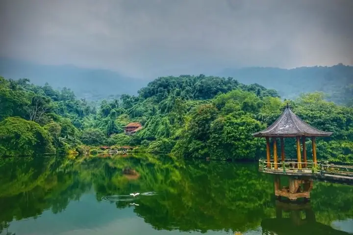 Medi Thiên Sơn Medi Thiên Sơn