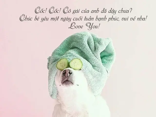 [top] Lời Chúc Cuối Tuần Hài Hước, Vui Vẻ Xả Stress Hiệu Quả