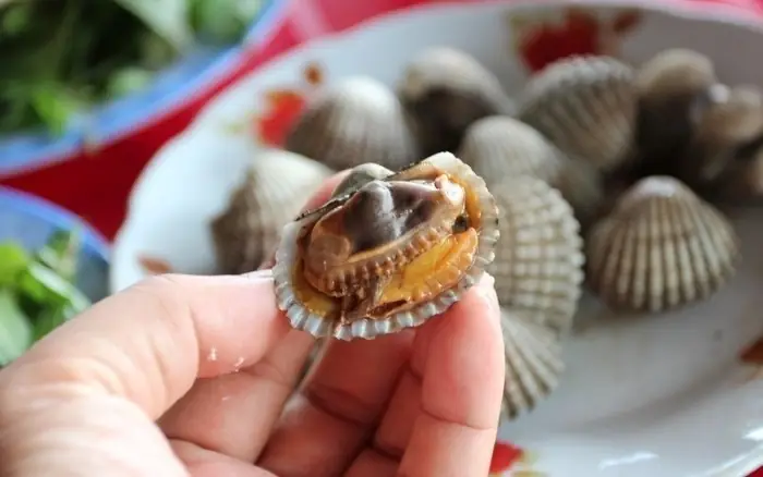Các Món Ăn Vặt Ngon Ở Tuy Hòa – Phú Yên Các Món Ăn Vặt Ngon Ở Tuy Hòa – Phú Yên