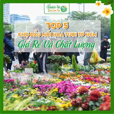 Top 5 Chợ Đầu Mối Hoa Tươi Tp Hcm Giá Rẻ Và Chất Lượng Top 5 Chợ Đầu Mối Hoa Tươi Tp Hcm Giá Rẻ Và Chất Lượng