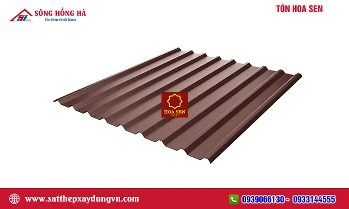 Mua Hoa Sen Ở Đâu Tphcm