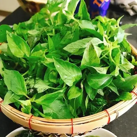 Lé É Tươi Sạch - Đặc Sản Miền Trung Ăn Là Mê