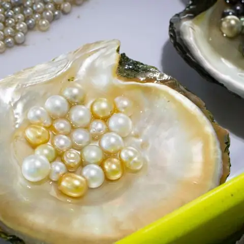 Độ Bền Và Chất Lượng