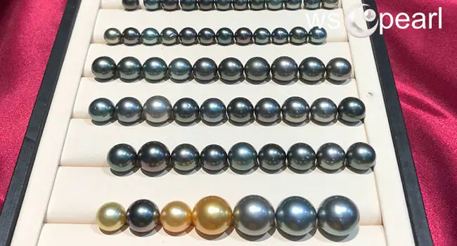 Một Viên Ngọc Trai Thật Giá Bao Nhiêu? - Wsc Pearl