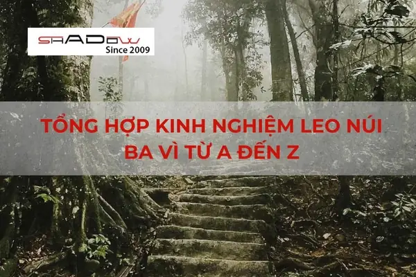 Khám Phá Ba Vì: Kinh Nghiệm Leo Núi Chi Tiết Từ A Đến Z