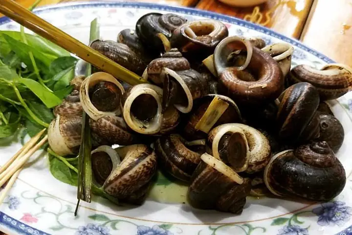 Ốc Núi Đá Thanh Hóa Giá Bao Nhiêu 1 Kg? Mua Ở Đâu Uy Tín Hiện Nay