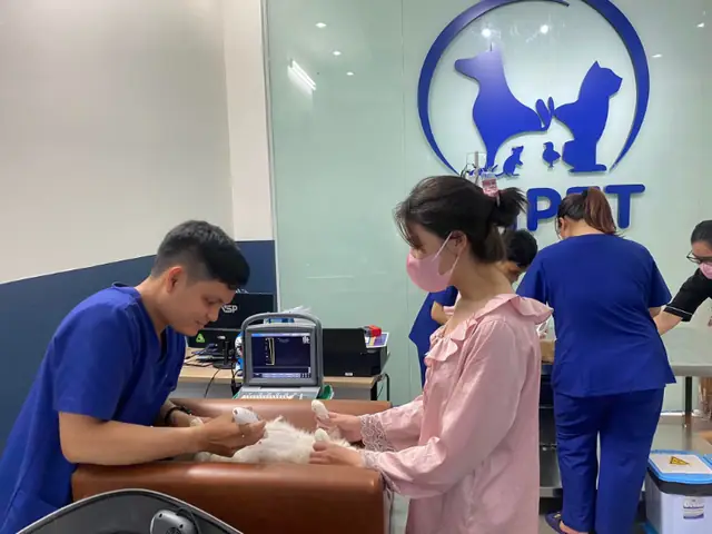 Gợi Ý Phòng Khám Thú Y Thủ Đức Giá Hợp Lý, Dịch Vụ Chất Lượng Gợi Ý Phòng Khám Thú Y Thủ Đức Giá Hợp Lý, Dịch Vụ Chất Lượng
