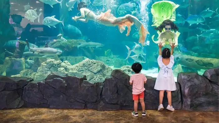 Ở Hà Nội Có Thủy Cung Nào Nên Đi? Ở Hà Nội Có Thủy Cung Nào Nên Đi?
