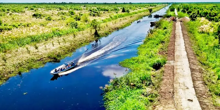 Đi Thuyền Thăm Quan Rừng Đước