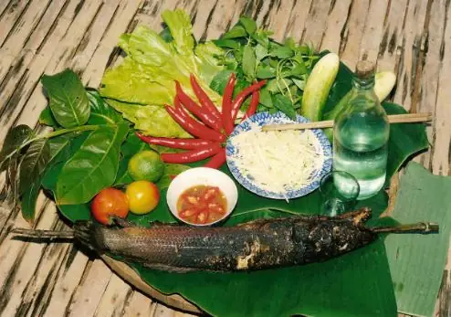 U Minh Hạ Có Đặc Sản Gì ?