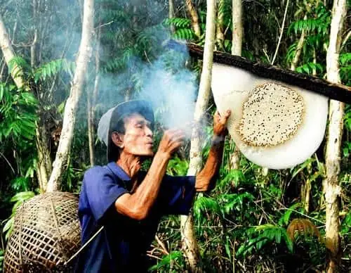 Câu Cá Lấy Mật Trong Rừng