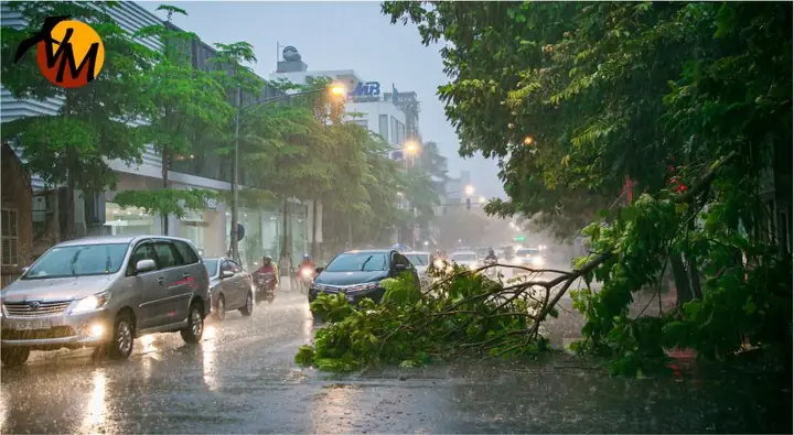 Thời Tiết