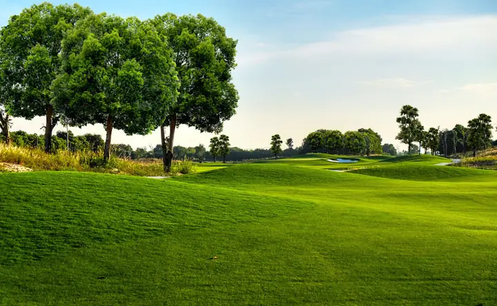 Sân Golf Vinpearl Nam Hội An Mang Đến Trải Nghiệm Golf Đẳng Cấp Cho Du Khách