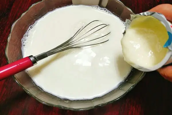 Phương Pháp Làm Sữa Chua Đông