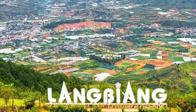 Tên Nghe Nửa Ruộng Nửa Rừng