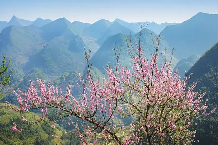 Đi Du Lịch Tháng 2 Có Gì Hấp Dẫn?