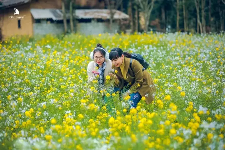 Du Xuân Hà Giang Tháng 2