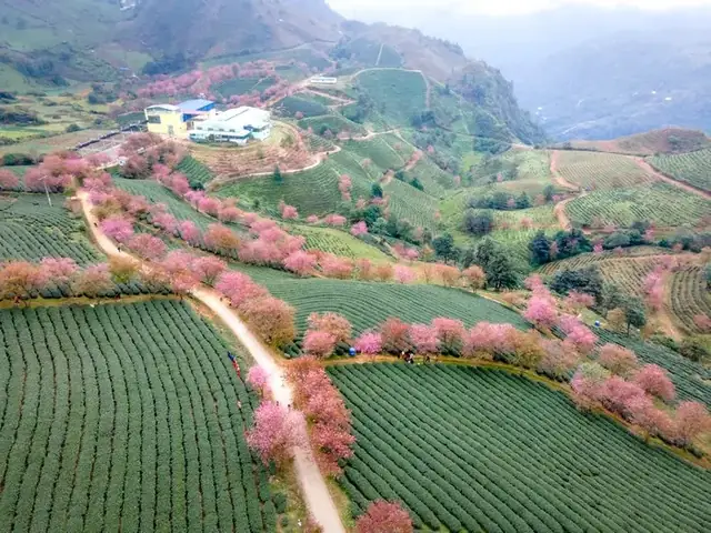 Du Xuân Sapa Tháng 2