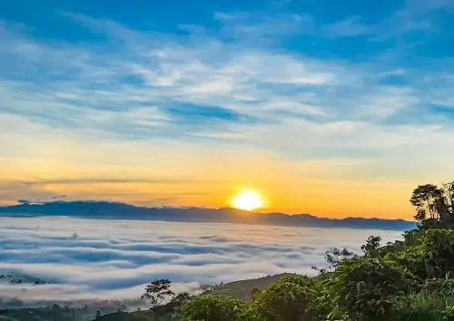 Bảo Lộc Ở Đâu? Khám Phá Thành Phố Tơ - Trà Nổi Tiếng Bảo Lộc Ở Đâu? Khám Phá Thành Phố Tơ - Trà Nổi Tiếng
