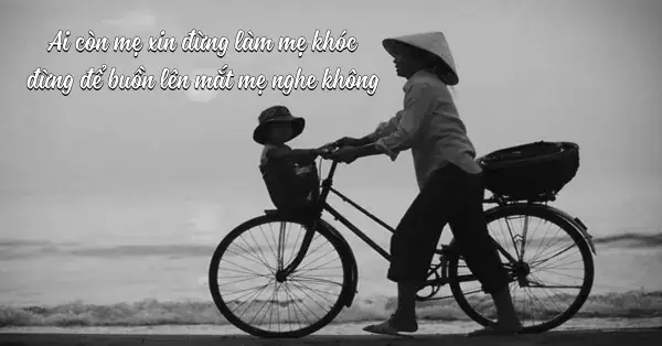 70 Bài Thơ Về Cha Mẹ, Chùm Thơ Nói Về Công Ơn Bố Mẹ Hay Nhất 70 Bài Thơ Về Cha Mẹ, Chùm Thơ Nói Về Công Ơn Bố Mẹ Hay Nhất