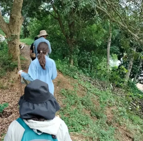 Thời Đồ Đá Cũ: Phân Tích Chuyên Sâu Các Phát Hiện Khảo Cổ Và ...