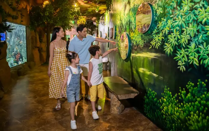 Vui Chơi, Trải Nghiệm Điều Thú Vị Ở Vinke & Vinpearl Aquarium