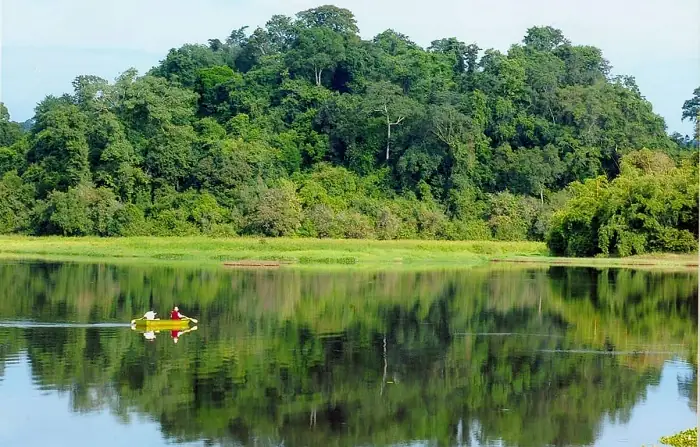Rừng Nguyên Sinh Phú Quốc