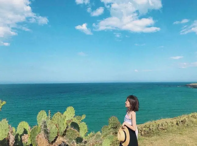 Kỳ Co