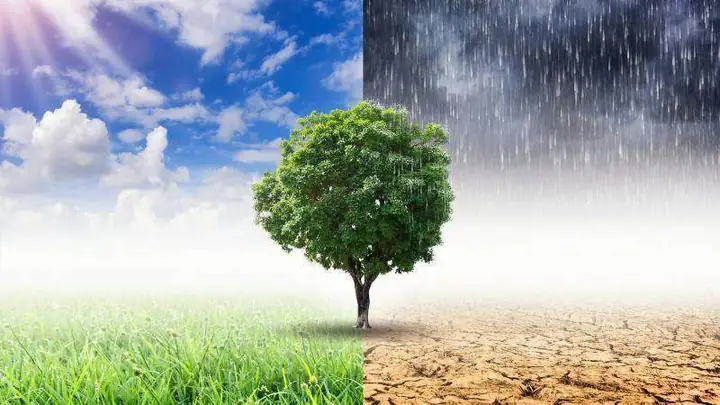 Phân Biệt Thời Tiết Và Khí Hậu: Giống Và Khác Nhau Thế Nào?