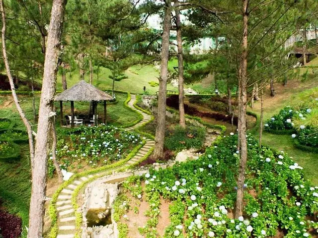 Thông Tin Về Thành Phố Đà Lạt