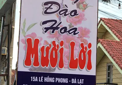 Thung Lũng Đào Hoa Mười Lời
