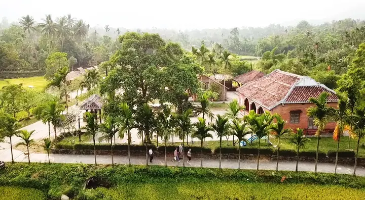 Về Lộc Yên (tiên Phước, Quảng Nam) Thưởng Thức Trái Cây Nhà Vườn